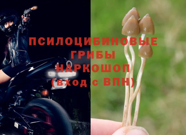 эйфоретик Баксан