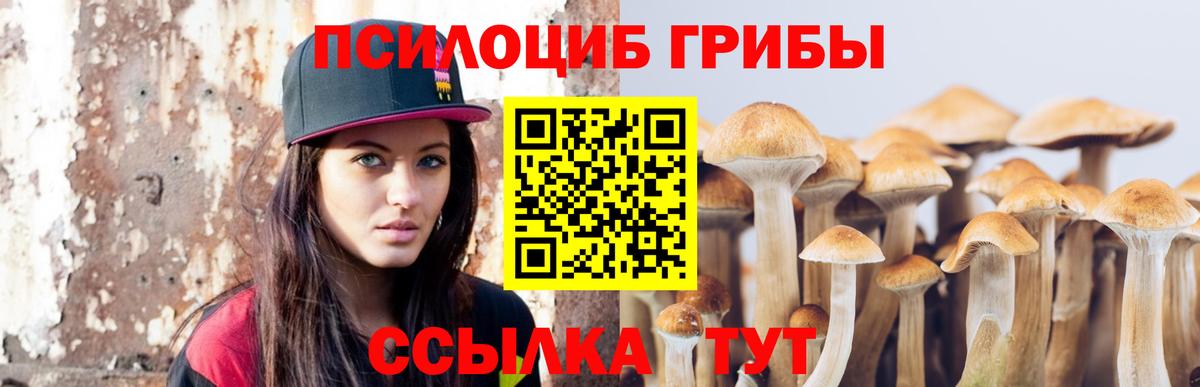 Псилоцибиновые грибы GOLDEN TEACHER  Вход с VPN  Пятигорск  Псилоцибиновые грибы мухоморы 